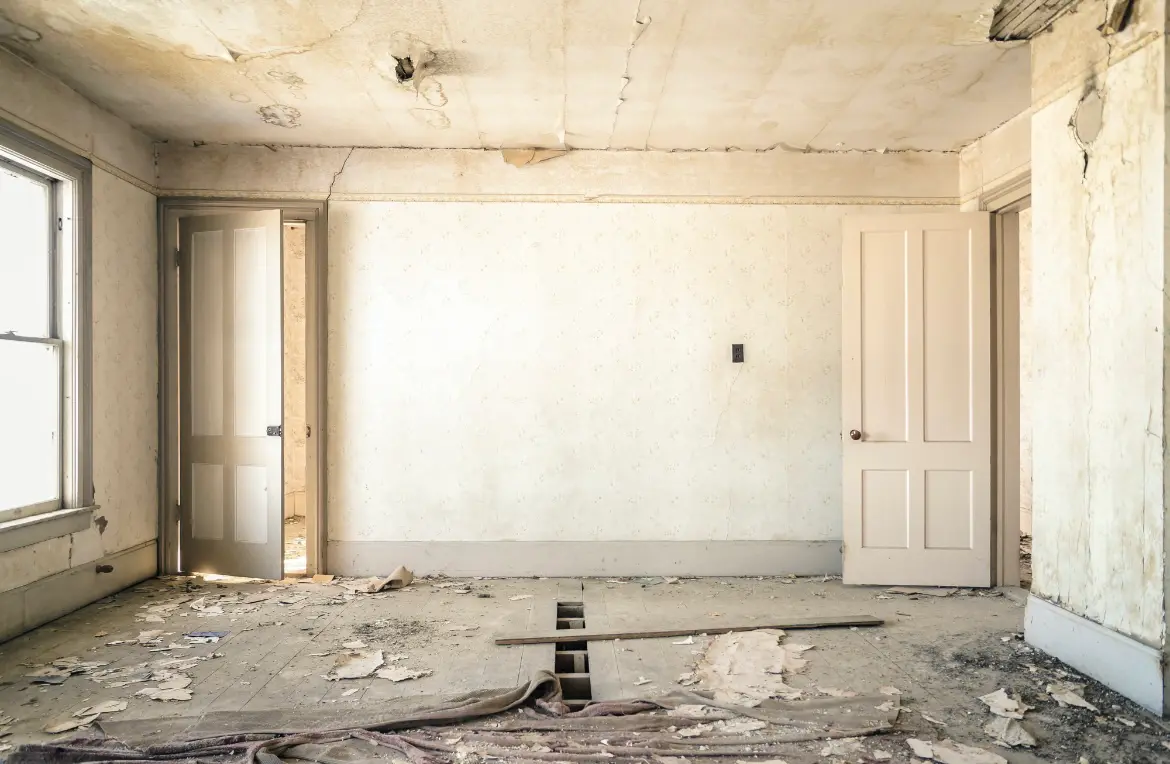 Waste disposal crew managing a cleanout project in Tara Hills